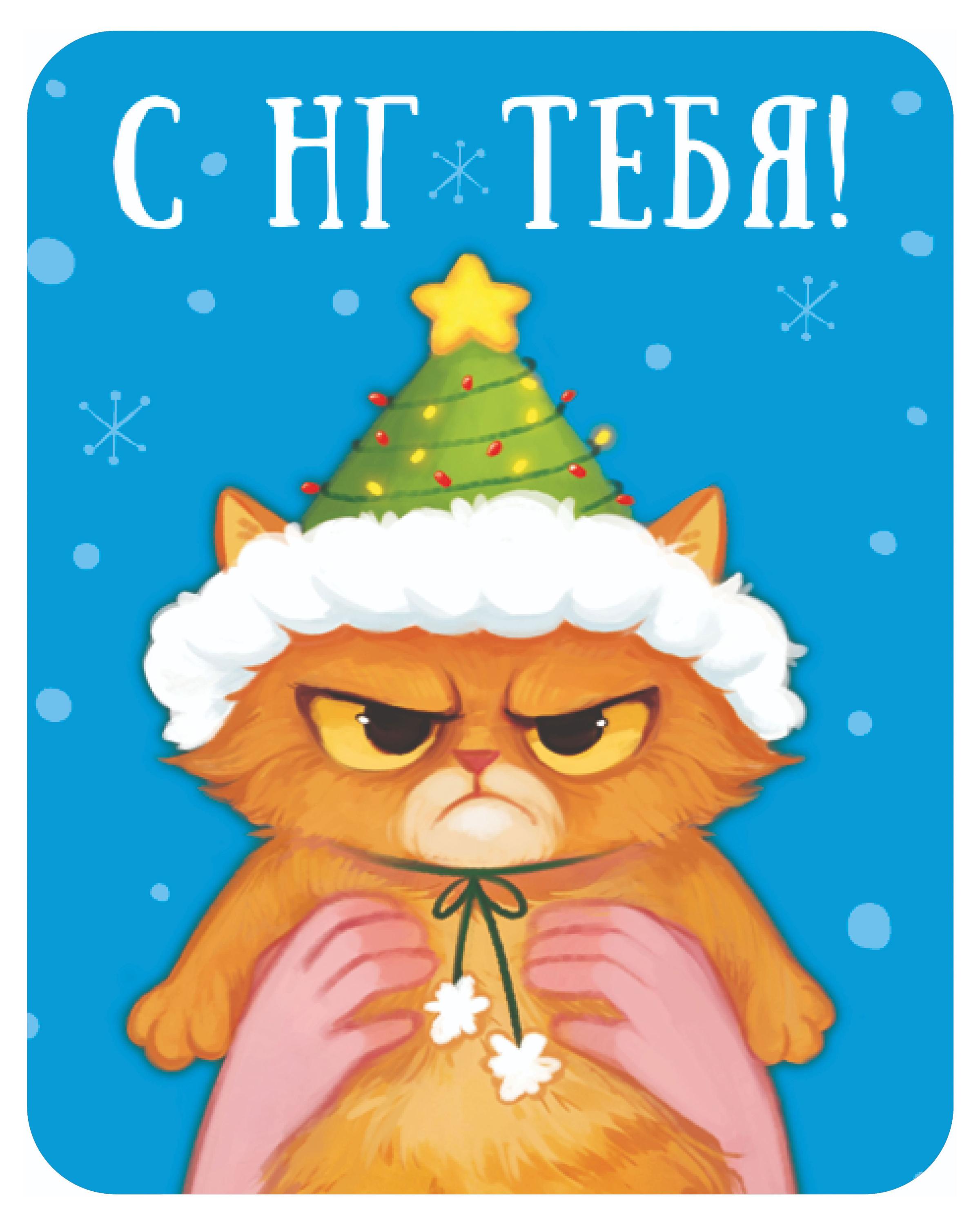 Изображение товара Шоколад молочный Chokocat Открытка мини Кот в шапке с НГ тебя, 5 г