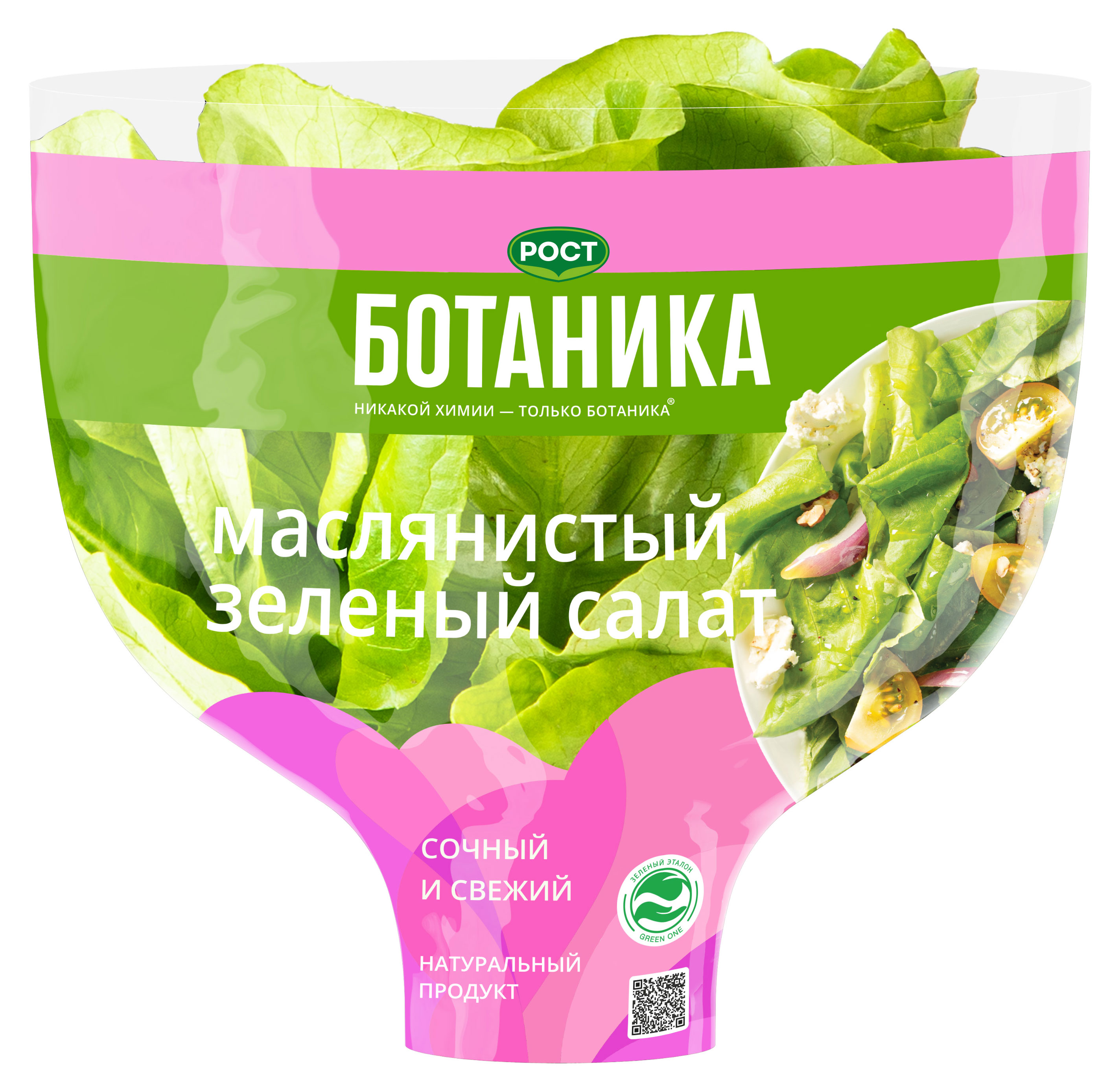 Изображение товара Салат латук «Ботаника» маслянистый зеленый в горшочке, 1 шт