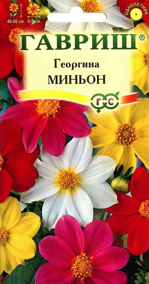 

Семена Георгина Гавриш Миньон, 0,3 г