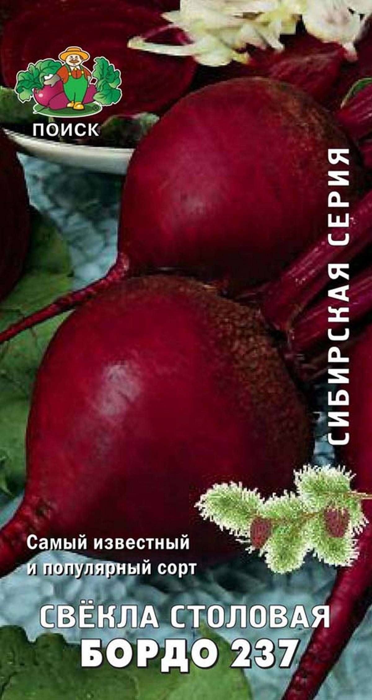 Изображение товара Семена Свекла «Поиск» Столовая бордо, 3 г