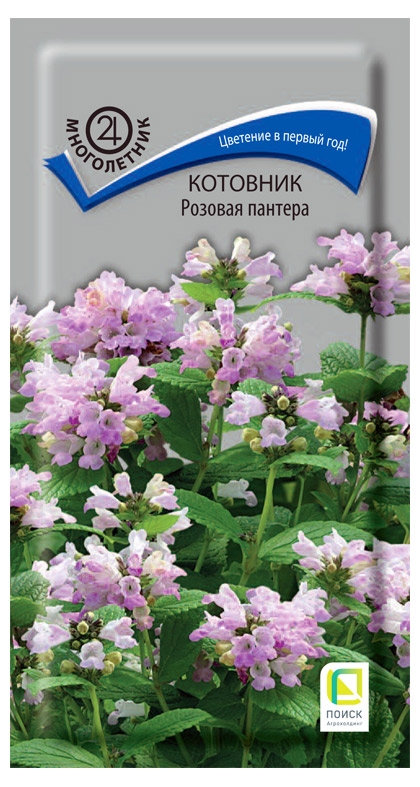 

Семена Котовник Поиск Розовая пантера, 10 шт