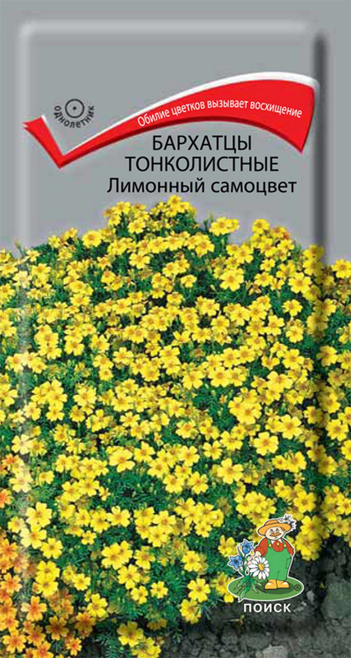 

Семена Бархатцы Поиск Лимонные самоцветы 0,1 г
