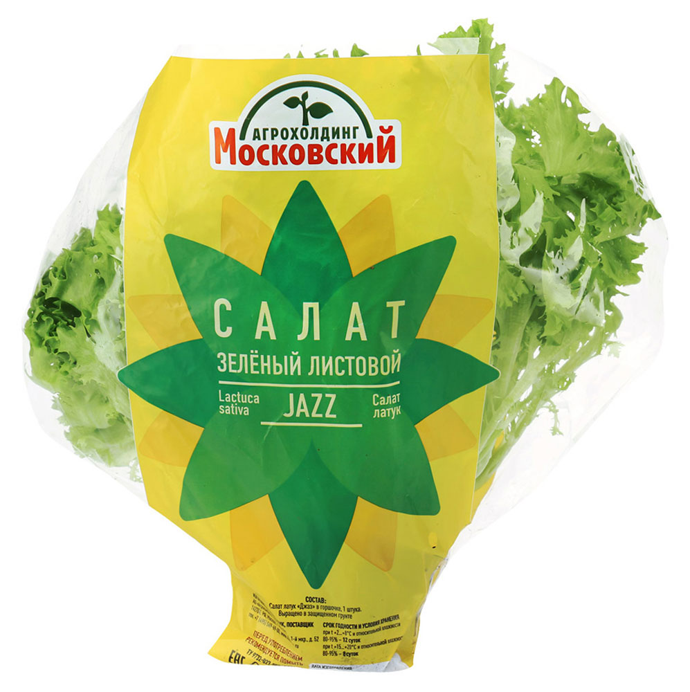 

Салат Кудрявый Джаз в горшочке, 1 штука