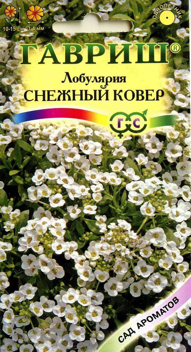 

Семена Лобулярия Гавриш Снежный ковер морская, 0,2 г