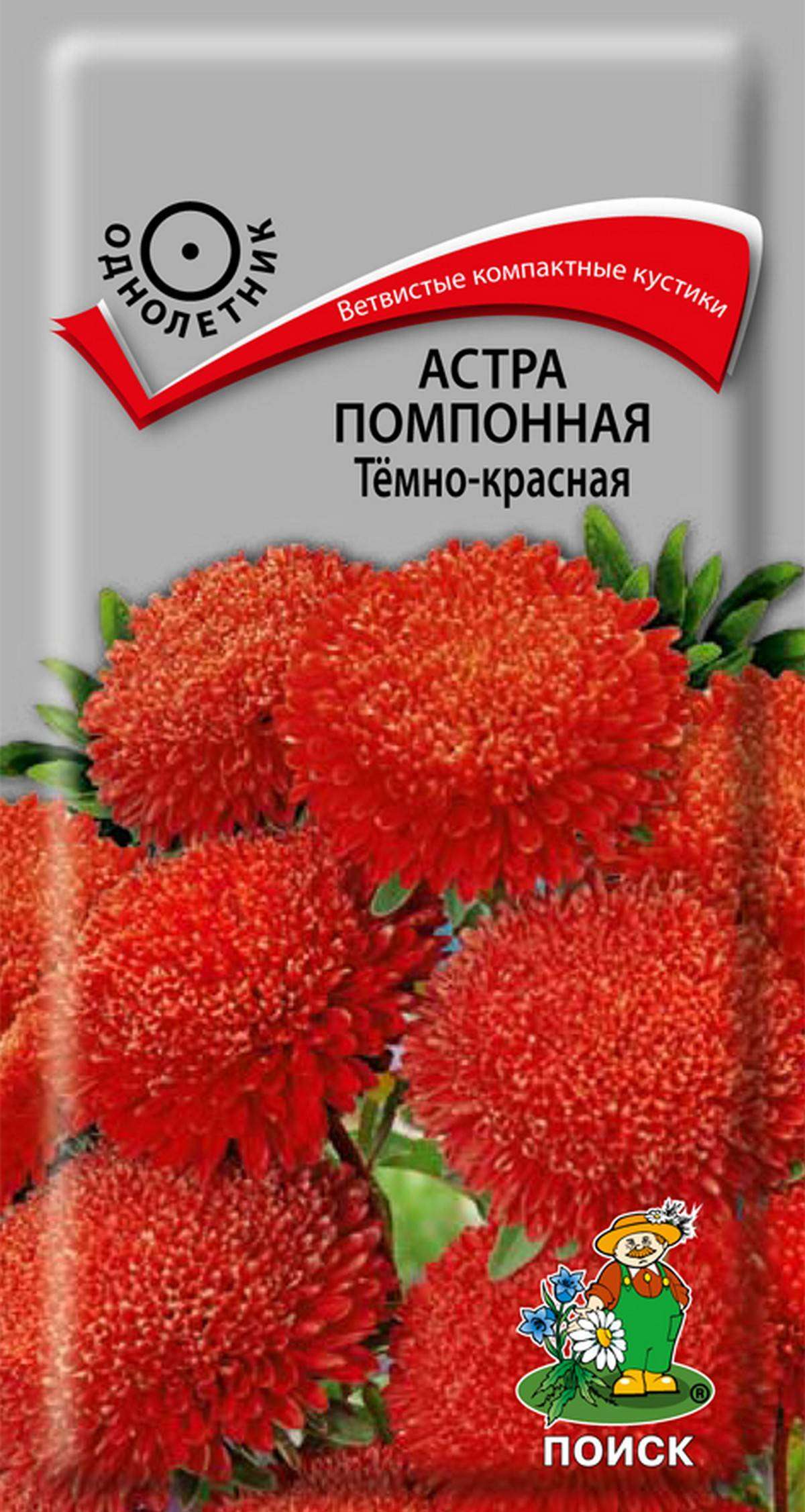 

Семена Астра Поиск Темно-красная, 0,3 г