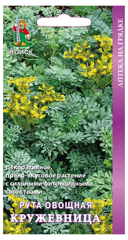 

Семена Рута Поиск Кружевница, 25 шт