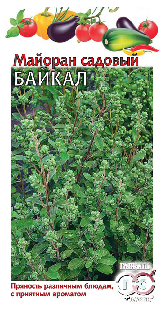 

Семена Майоран Гавриш Байкал садовый, 0,1 г