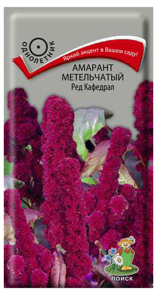 

Семена Амарант Поиск Ред кафедрал метельчатый, 0,1 г