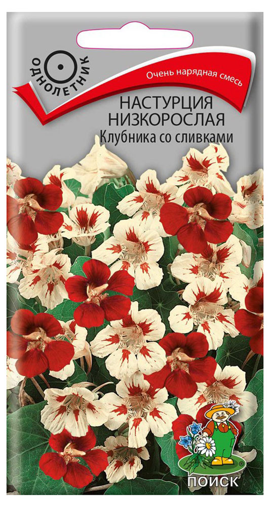 

Семена Настурция Поиск Клубника со сливками низкорослая, 1 г