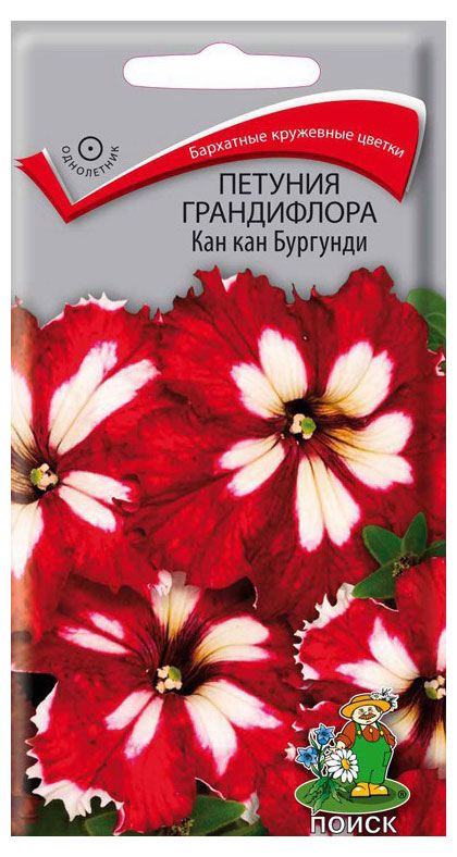 

Семена Петуния грандифлора Поиск Кан кан Бургунди, 10 шт