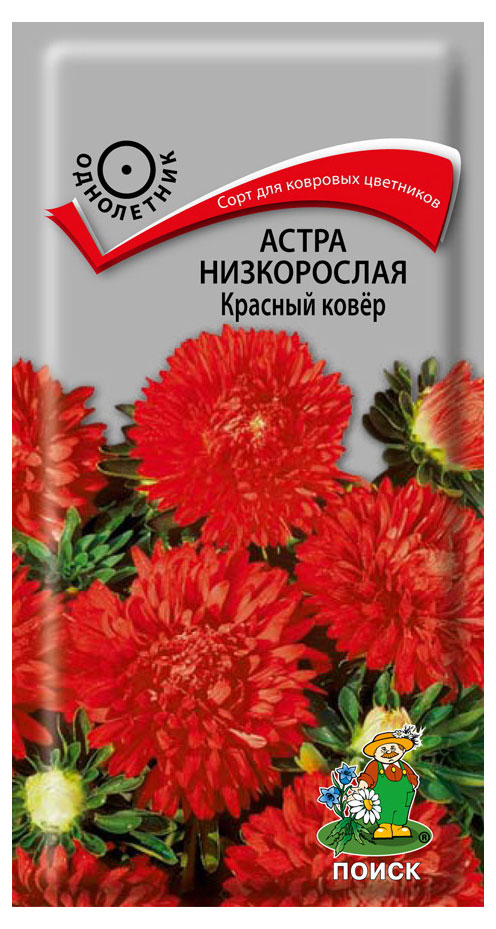 

Семена Астра Поиск Красный ковер низовая, 0,2 г