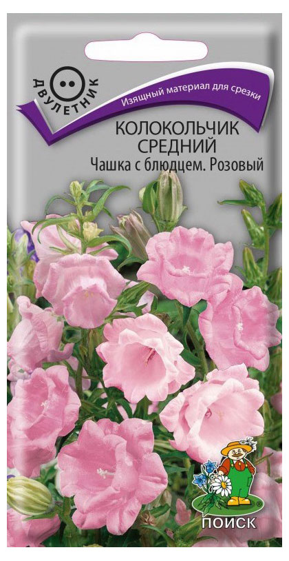 

Семена Колокольчик Поиск Чашка с блюдцем розовый, 0,1 г