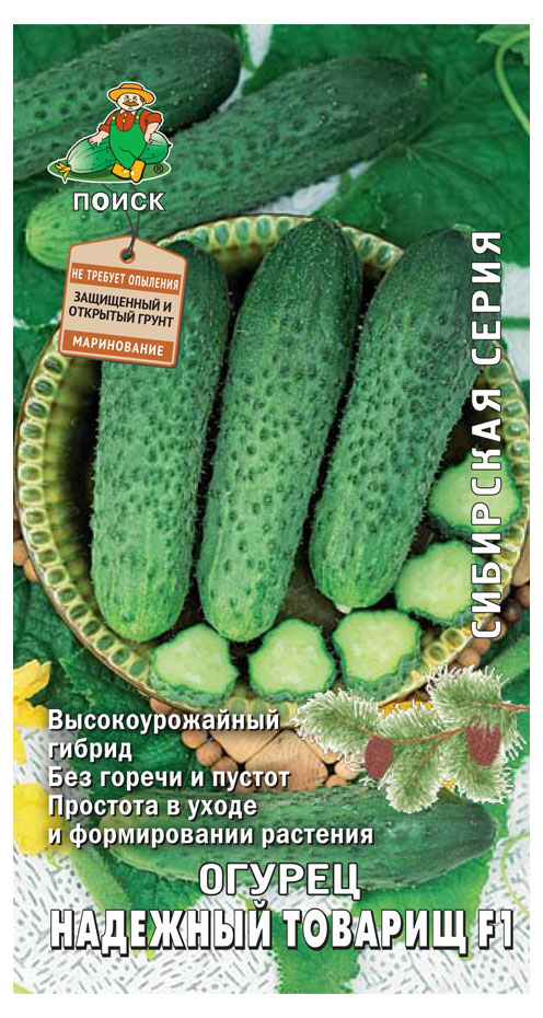

Семена Огурец Поиск Надежный товарищ, 12 шт