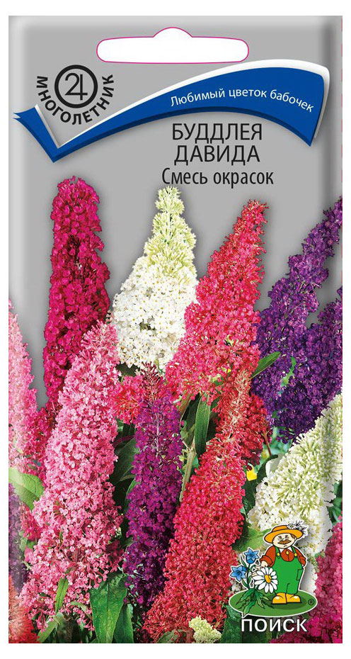 

Семена Буддлея Поиск Давида смесь, 10 шт