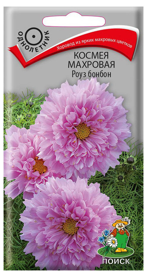 

Семена Космея Поиск Роуз бонбон махровая, 0,1 г