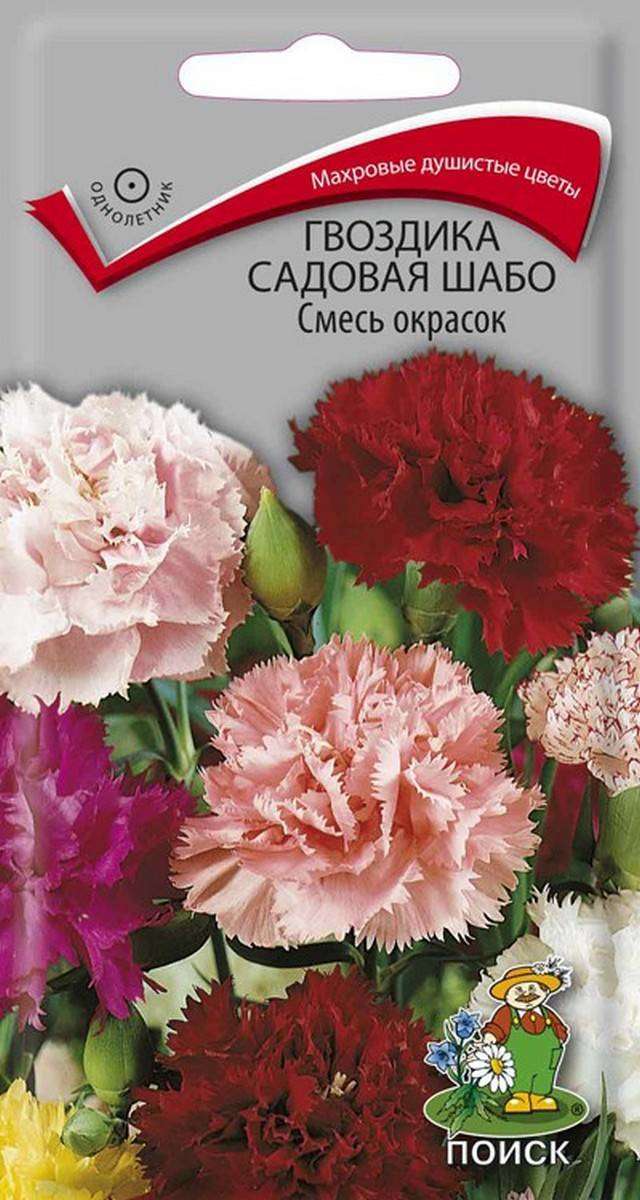 

Семена Гвоздика Поиск Садовая шабо, 0,3 г