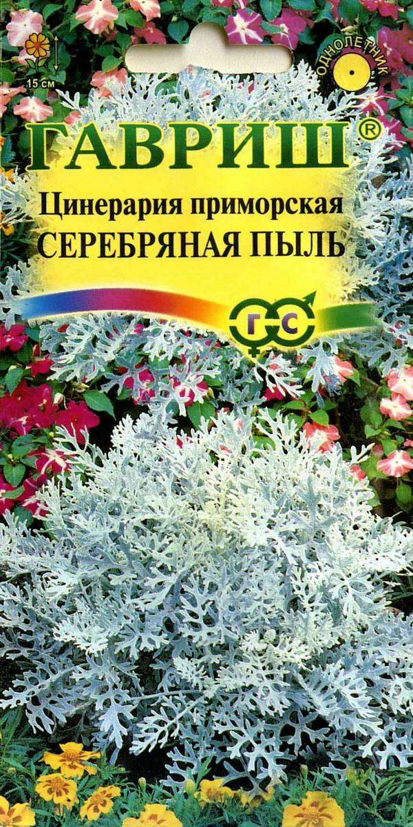 

Семена Цинерария Гавриш Серебряная пыль, 0.1 г