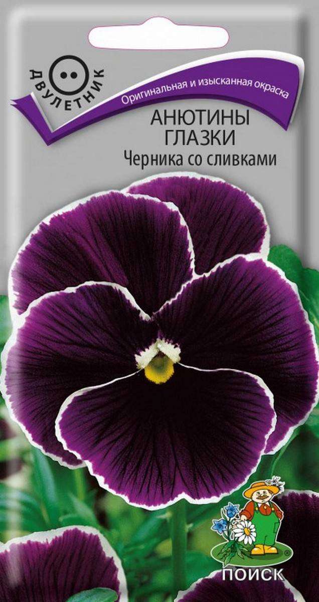 

Семена Анютины глазки Поиск Черника, 0.1 г