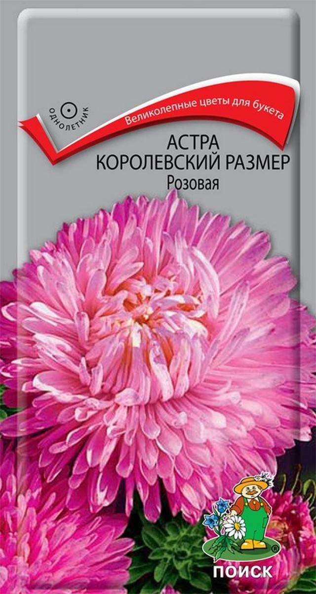 

Семена Астра Поиск Королевский размер розовая, 0,1 г