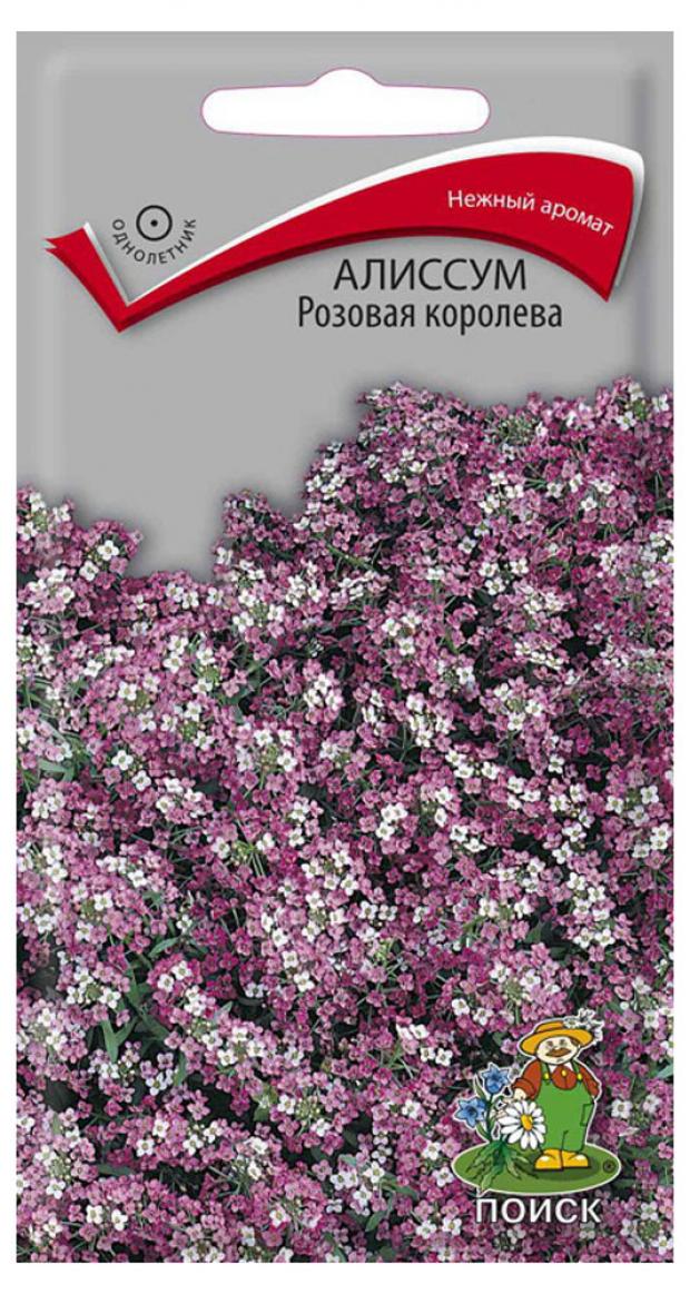 Семена Алиссум Поиск Розовая королева, 0,3 г