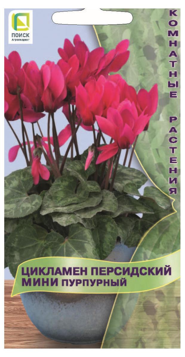 Купить Семена Цикламена Недорого