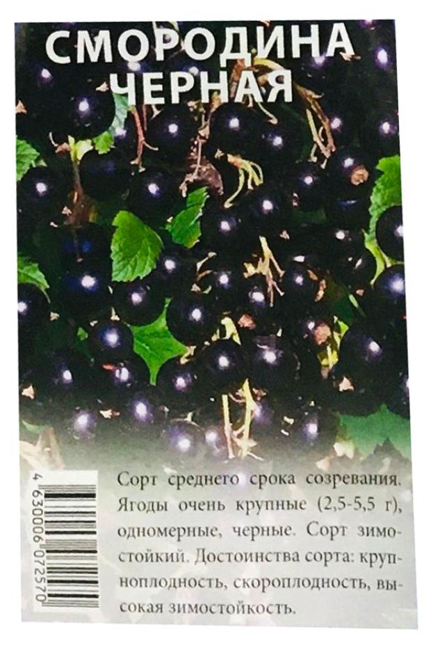 

Саженцы Nali Смородина микс