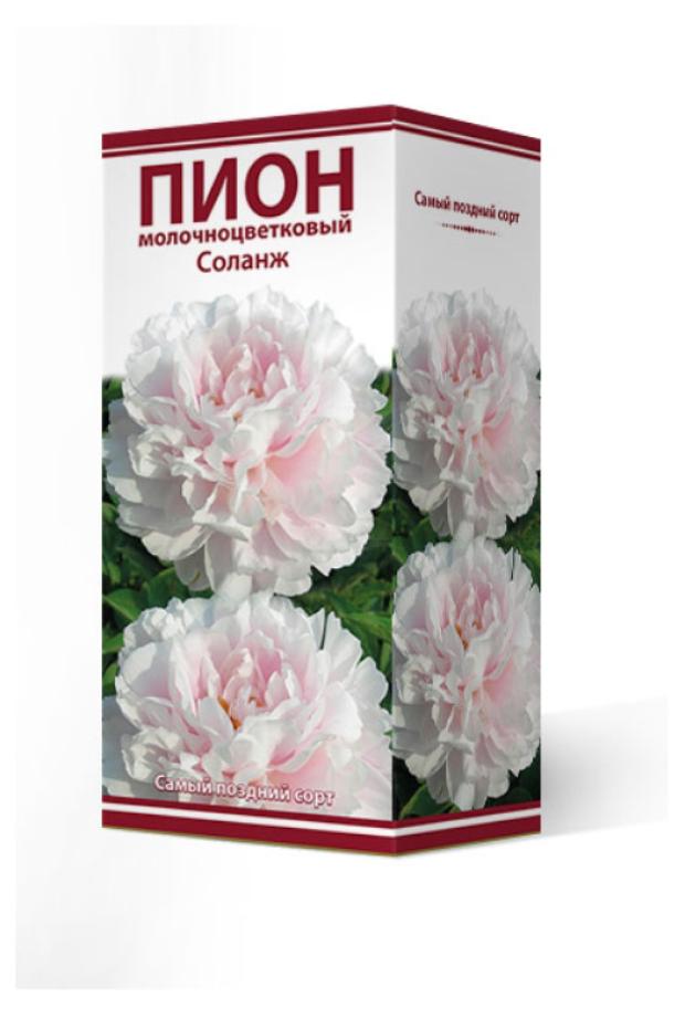

Луковицы Поиск Пион молочно-цветковый травянистый Соланж серия Классик, 1 шт