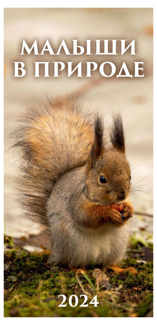 

Календарь настенный перекидной Малыши в природе на гребне на 2024 г, 165х335 мм