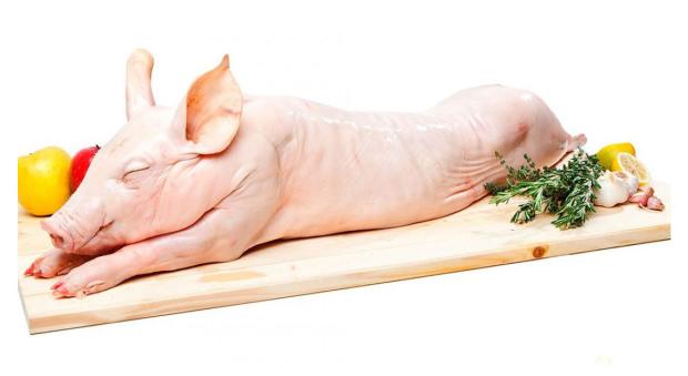 

Поросенок молочный Виктория (2,8-3,2 кг), 1 упаковка ~ 3 кг