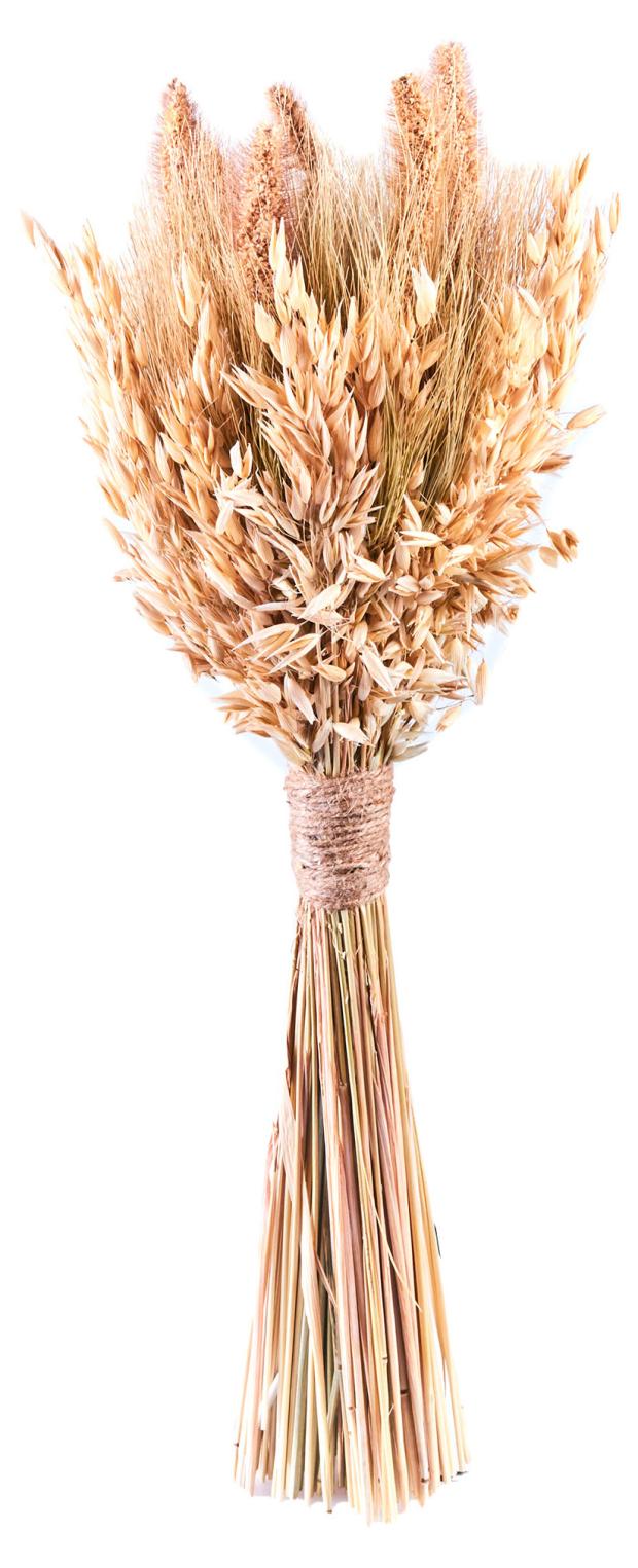 Сухой букет Колхоз Луч пшеница-чумиза-овес