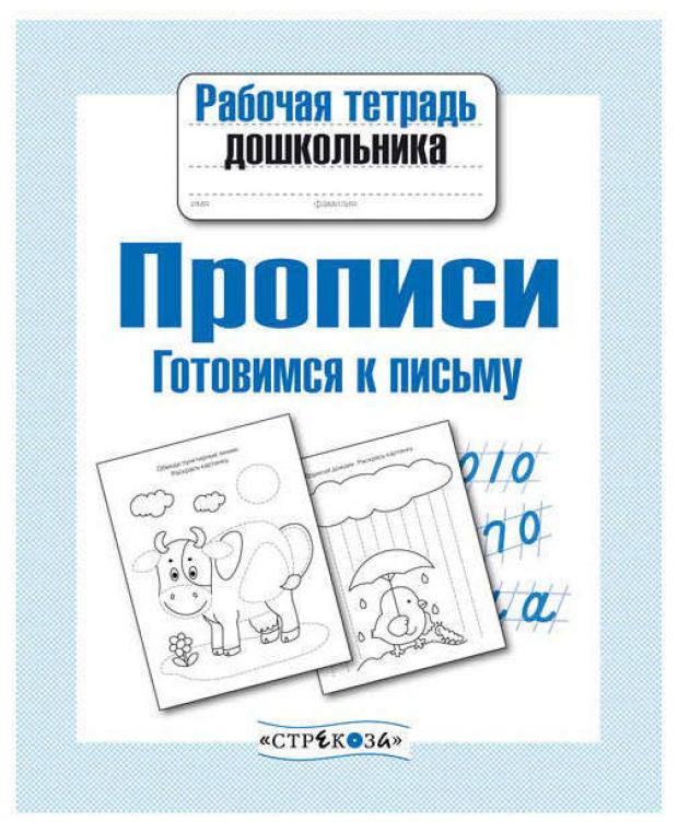 

Рабочая тетрадь дошкольника. Прописи. Готовимся к письму