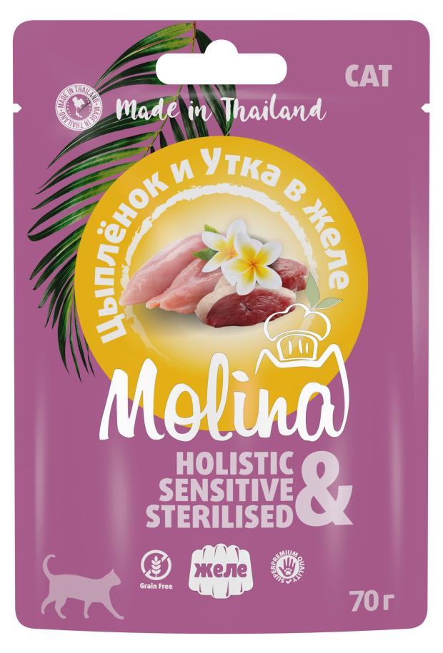 Корм влажный для кошек Molina Holistic цыпленок и утка в желе, 70 г