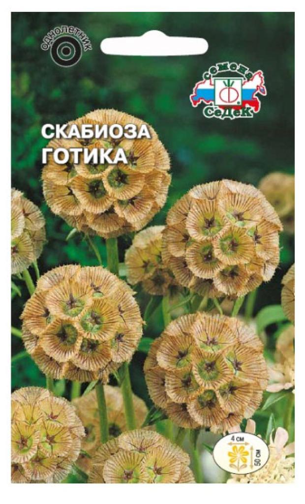 

Семена СеДеК СкабиозаГотиказвёздчатая