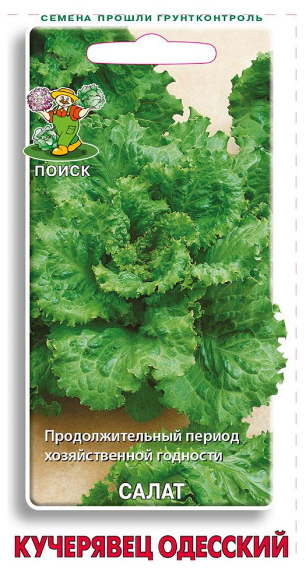 

Семена Салат Поиск Кучерявец одесский, 1 г