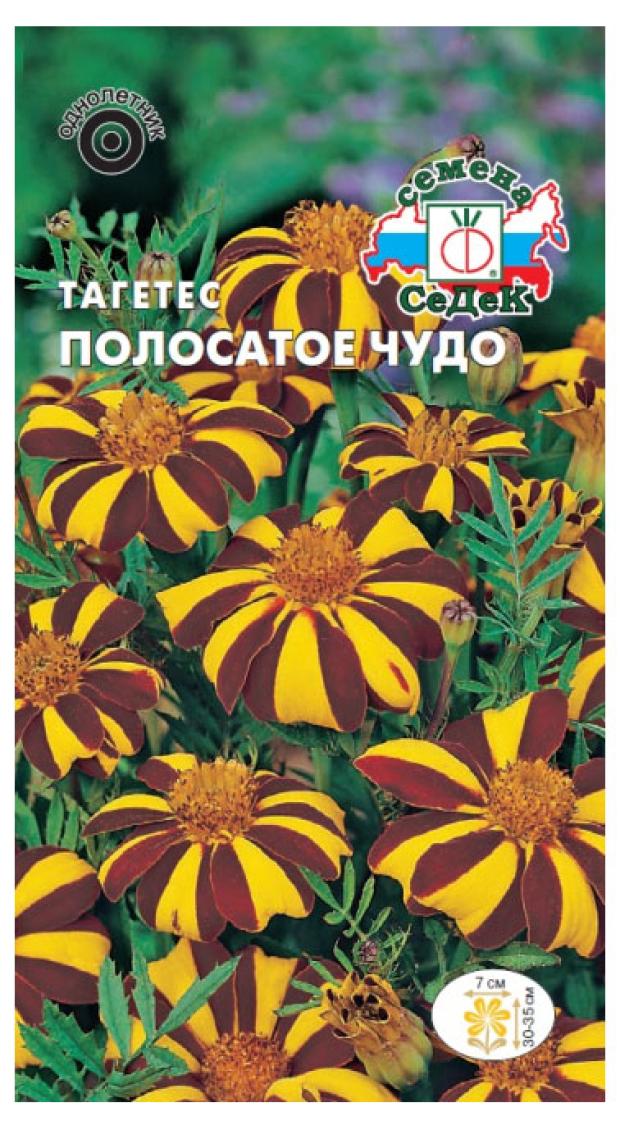 Семена СеДеК ТагетесПолосатоечудоотклоненный золотисто-коричневый