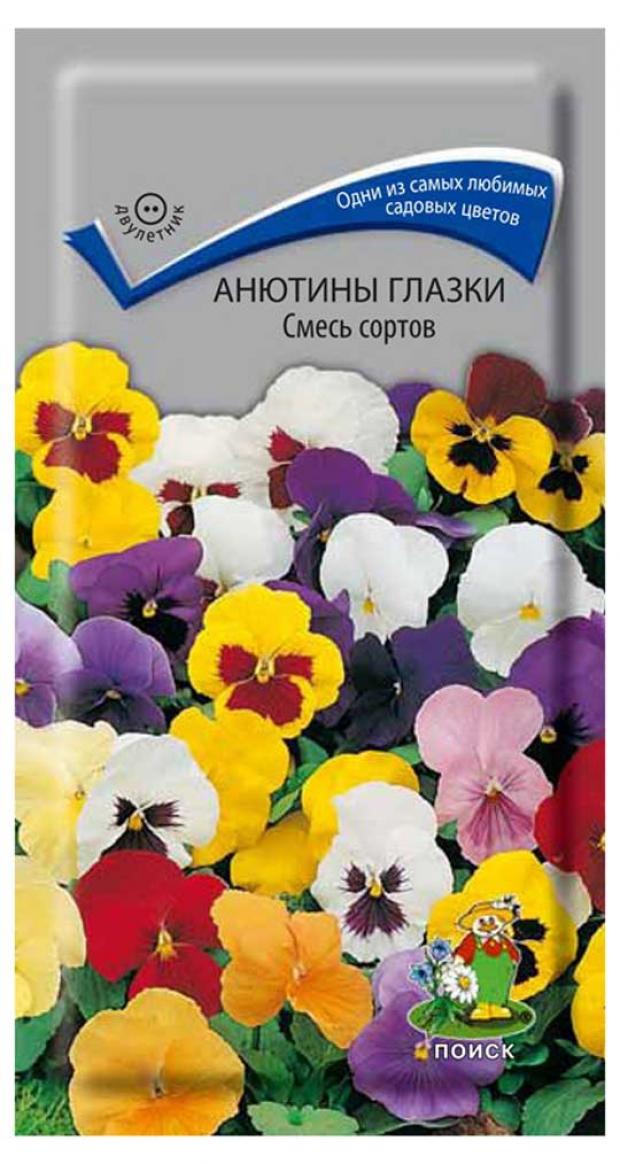 Виола Тамбов Цветы Каталог С Фотографиями