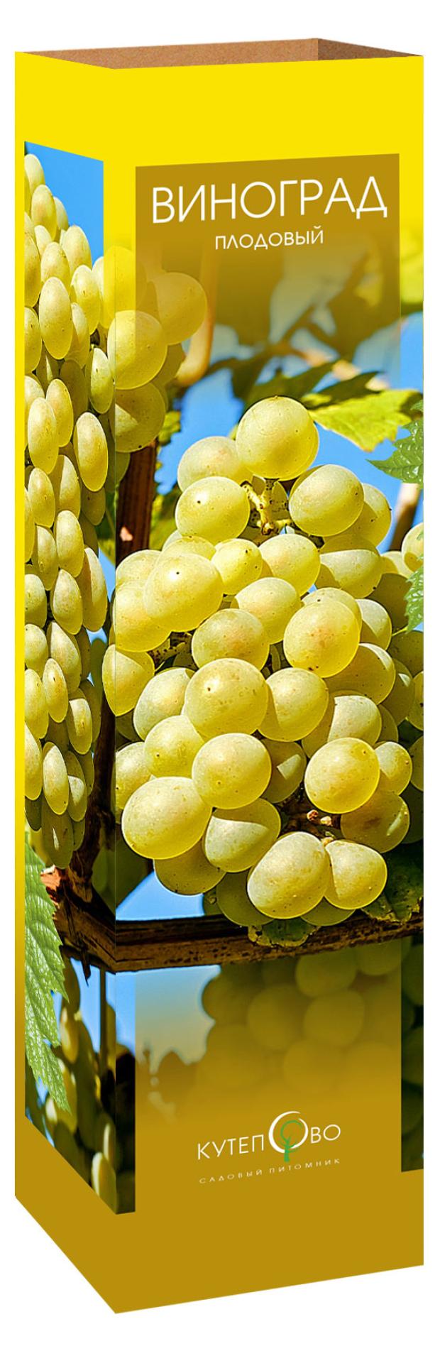 

Саженцы Виноград Аркадия