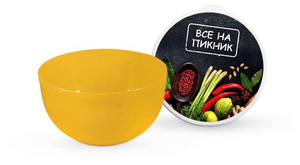 

Миска Полимербыт Все на пикник с крышкой, 600 мл