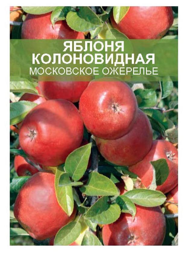 Яблоня Янтарное Ожерелье Описание