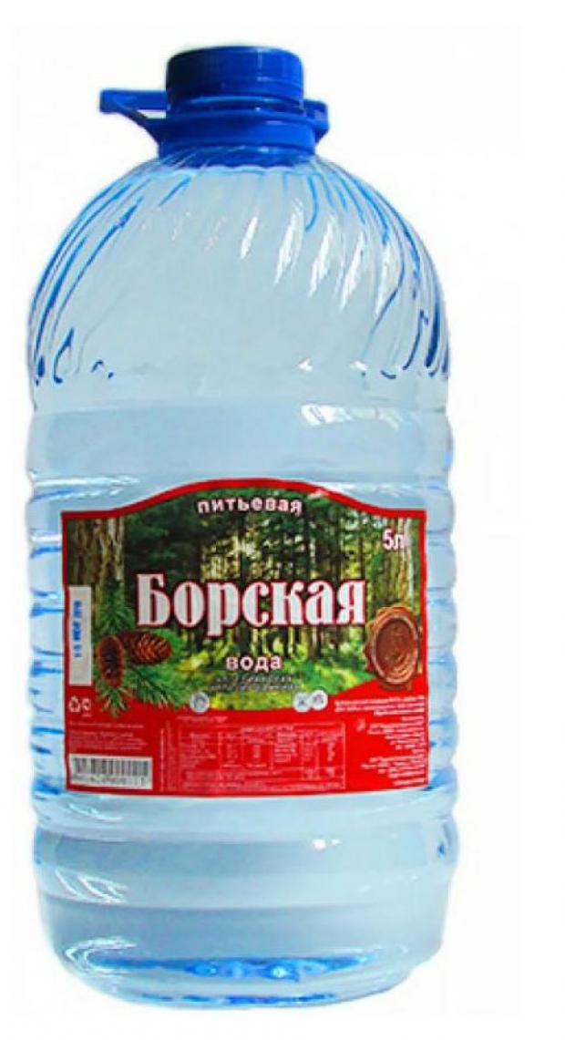 Вода минеральная Борская негазированная лечебно-столовая, 5 л