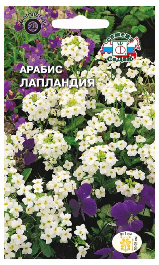 

Семена АрабисСеДеК Лапландияальпийский, 0,1 г