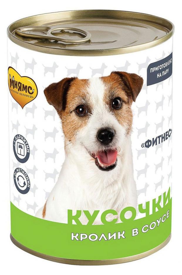 Корм консервированный для собак МнямсФитнес Кусочки в соусе с кроликом всех пород, 400 г