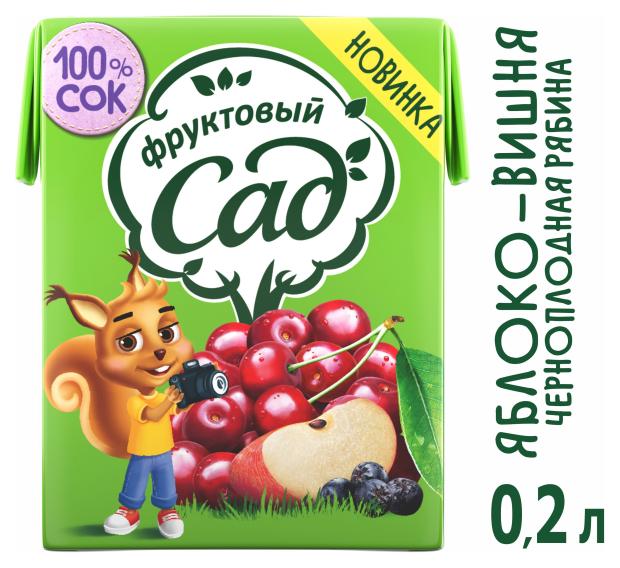 

Нектар Фруктовый Сад с яблоком вишней и черноплодной рябиной осветленный, 200 мл