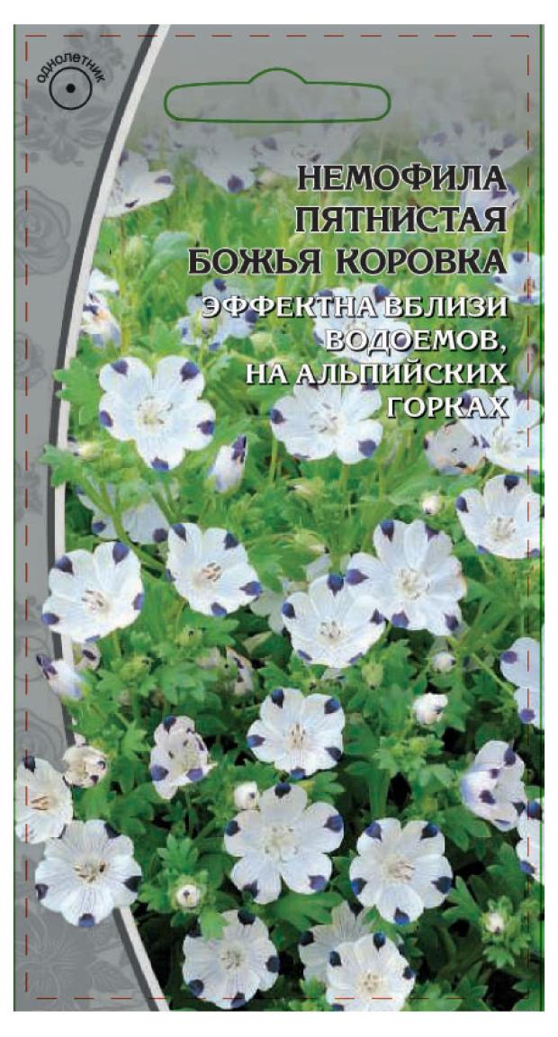 Семена Немофилы Фото