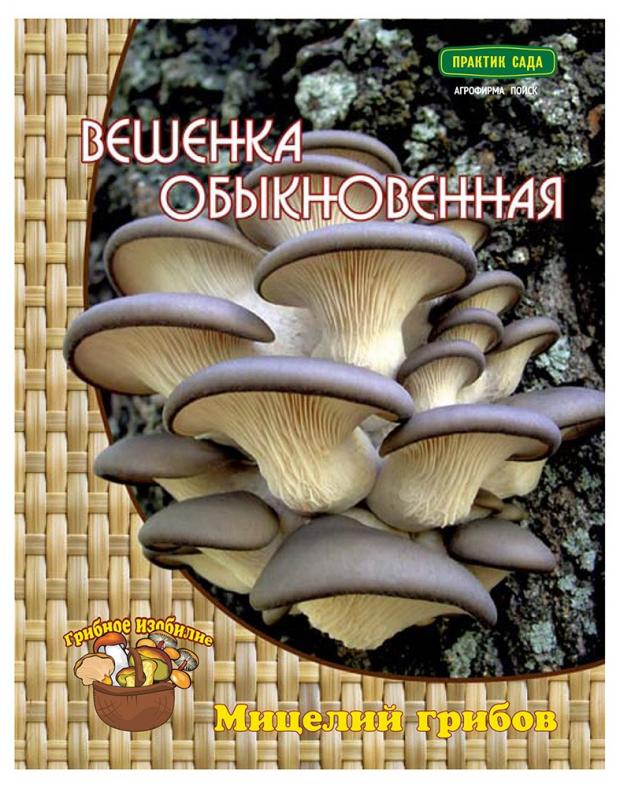 Мицелий грибов Вешенка Поиск Обыкновенная, 12 шт