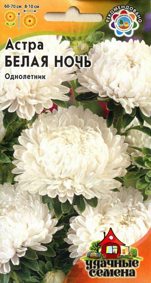 Семена Астра Удачные семена Белая ночь, 0.1 г цена и фото