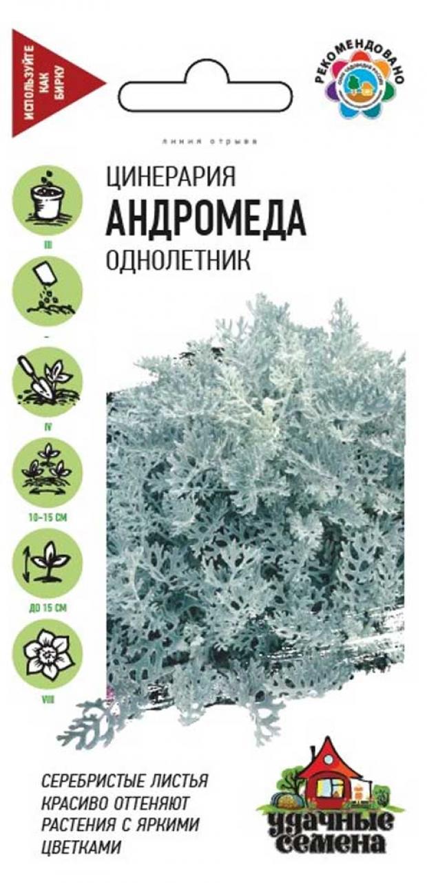 Семена Цинерария Удачные семена Андромеда, 0,1 г
