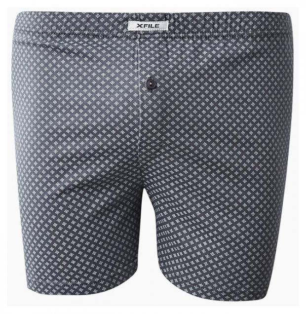 Трусы-боксеры X-File Boxer RICCARDO grigio, р. S