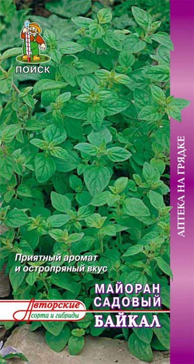 

Семена Майоран «Поиск» Байкал, 0.1 г