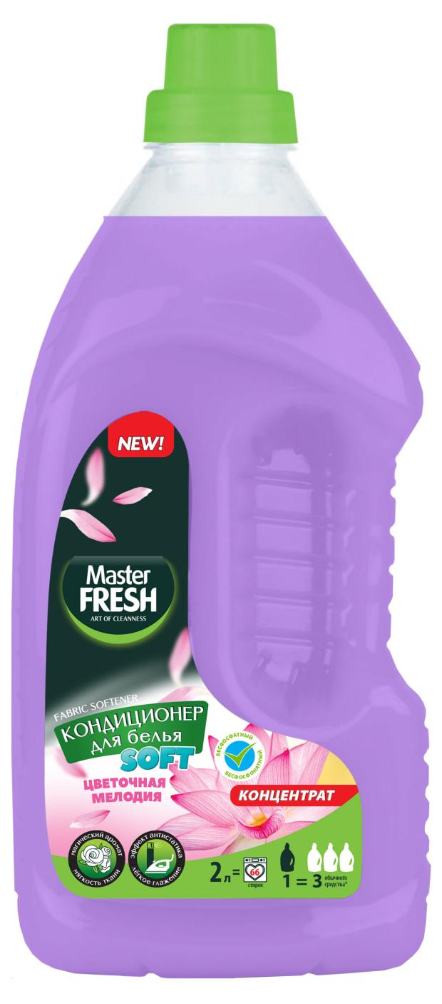 

Кондиционер-концентрат Master Fresh цветочная мелодия, 2 л